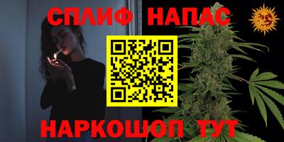 соль ск Гатчина