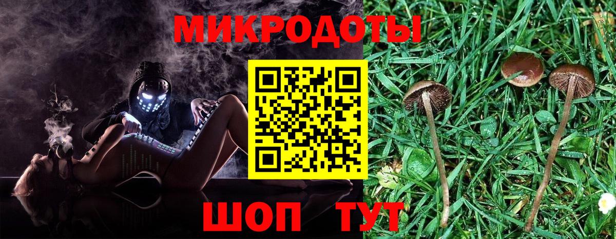 купить наркотики сайты  Псилоцибиновые грибы GOLDEN TEACHER  Вход с VPN  Галлюциногенные грибы прущие грибы  Городец 