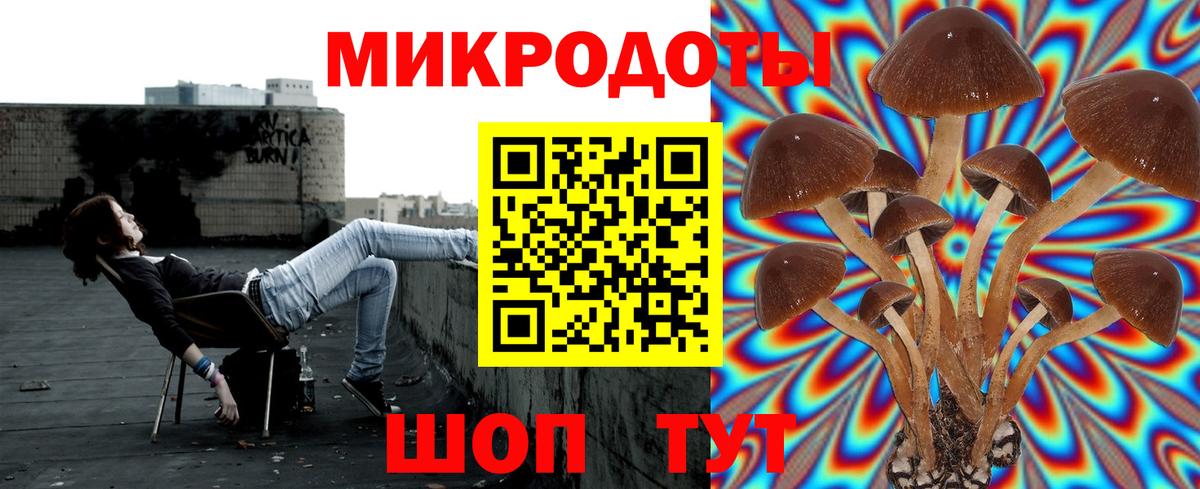 Псилоцибиновые грибы GOLDEN TEACHER Городец
